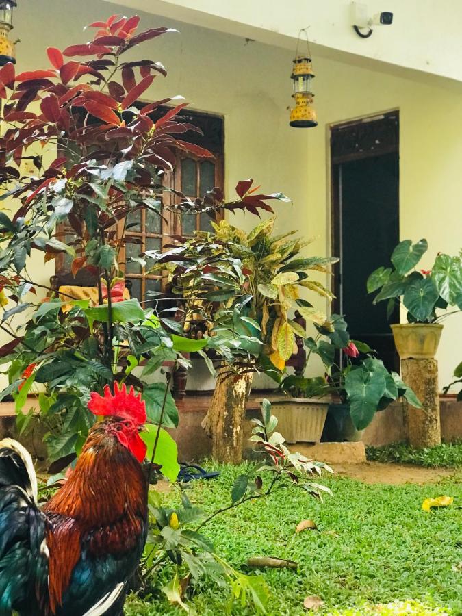 Sigiri Lakshan Home Stay Сигирия Екстериор снимка